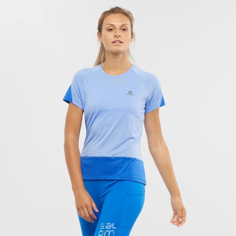 Camiseta Salomon Cross Run Curta Sleeve Feminino Azuis | PT G86543